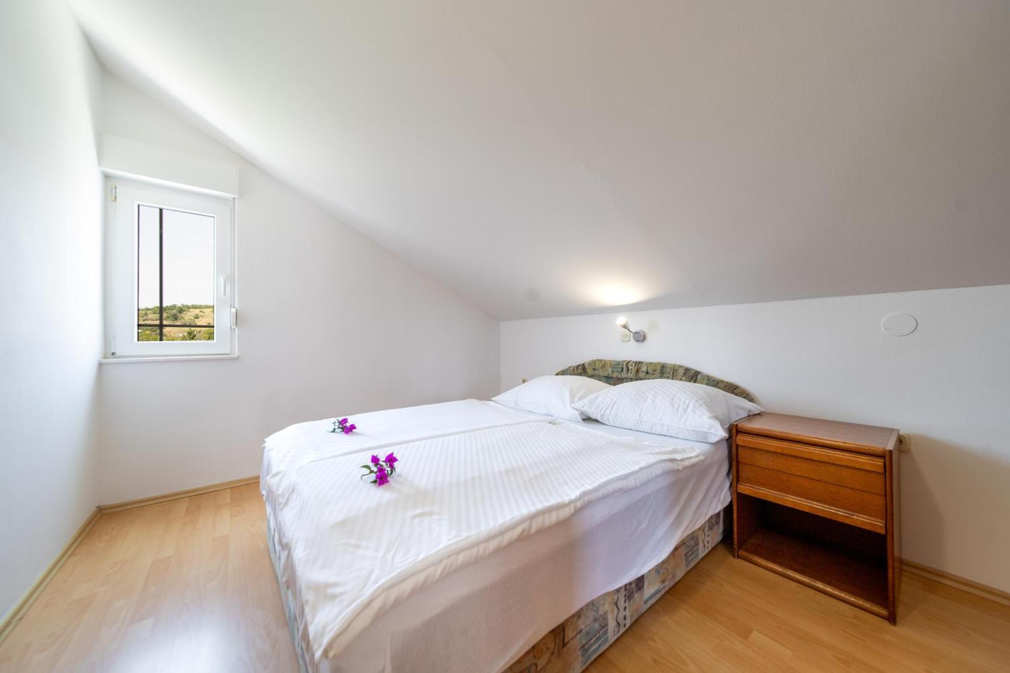 Apartment Visnja